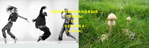 молекула духа Михайловка