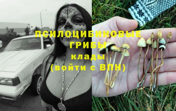 шишки Абдулино